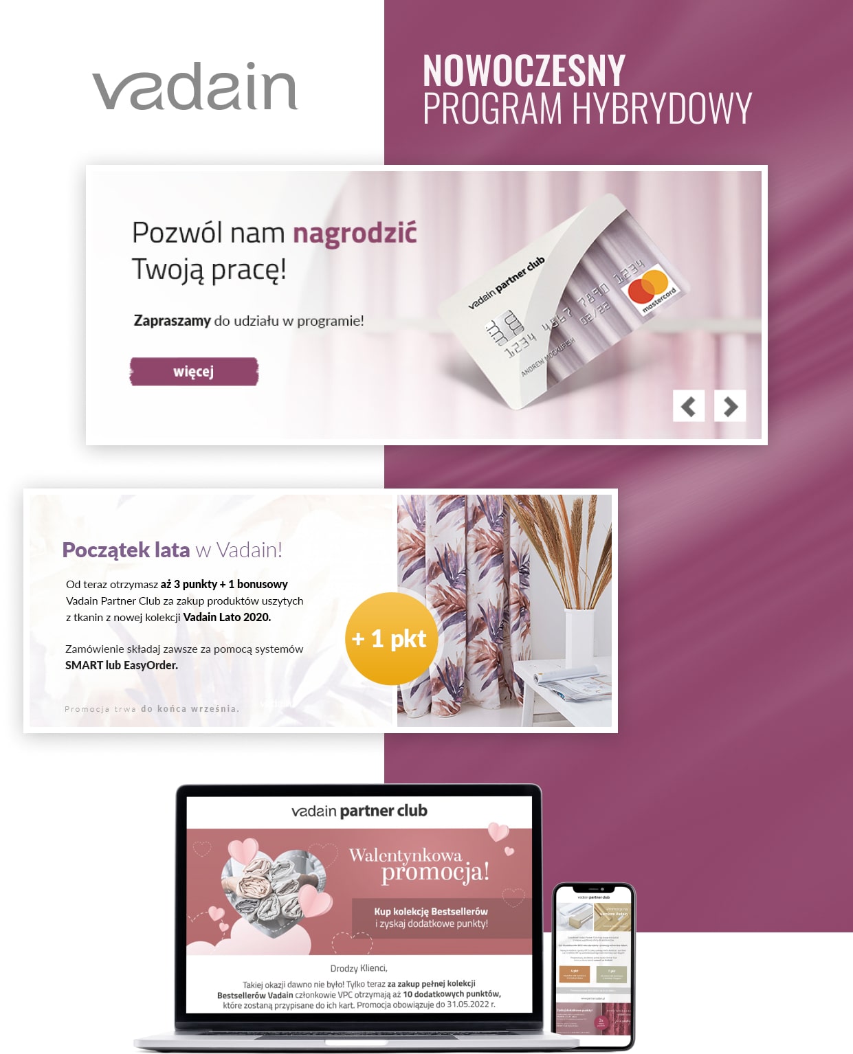 Nowoczesny program hybrydowy - Vadain Partner Club